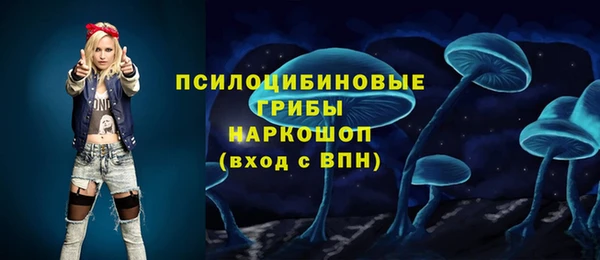 сатива Алексеевка